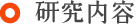 研究内容