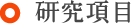 研究項目