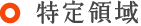 特定領域